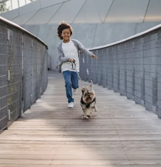 A little girl running across the bridge with her dog.