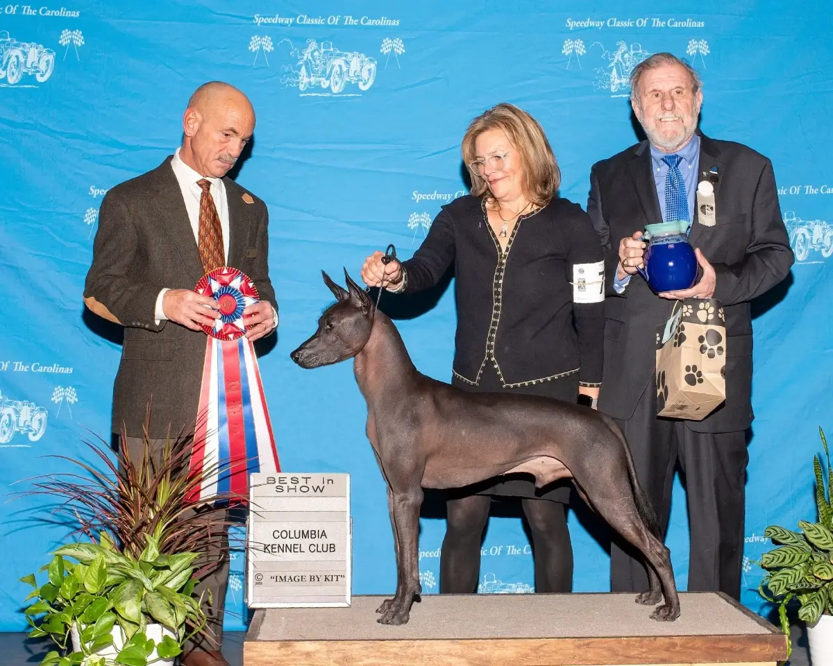A group of people standing around with a dog.