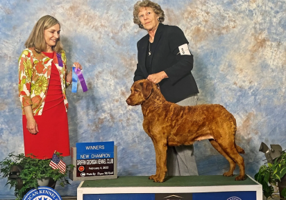 A woman standing next to a dog on top of a stage.